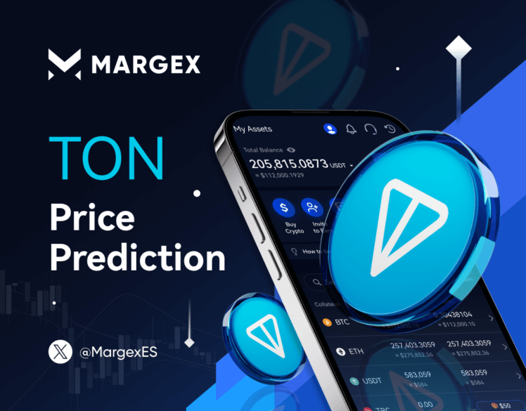 TON Perspectives and Price Prediction 2025: Overrated Coin or Crypto Market Future